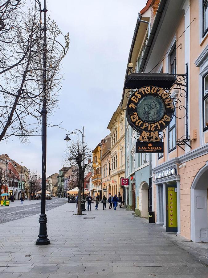 Studio Bufnita - The Owl'S Nest Sibiu Exterior photo